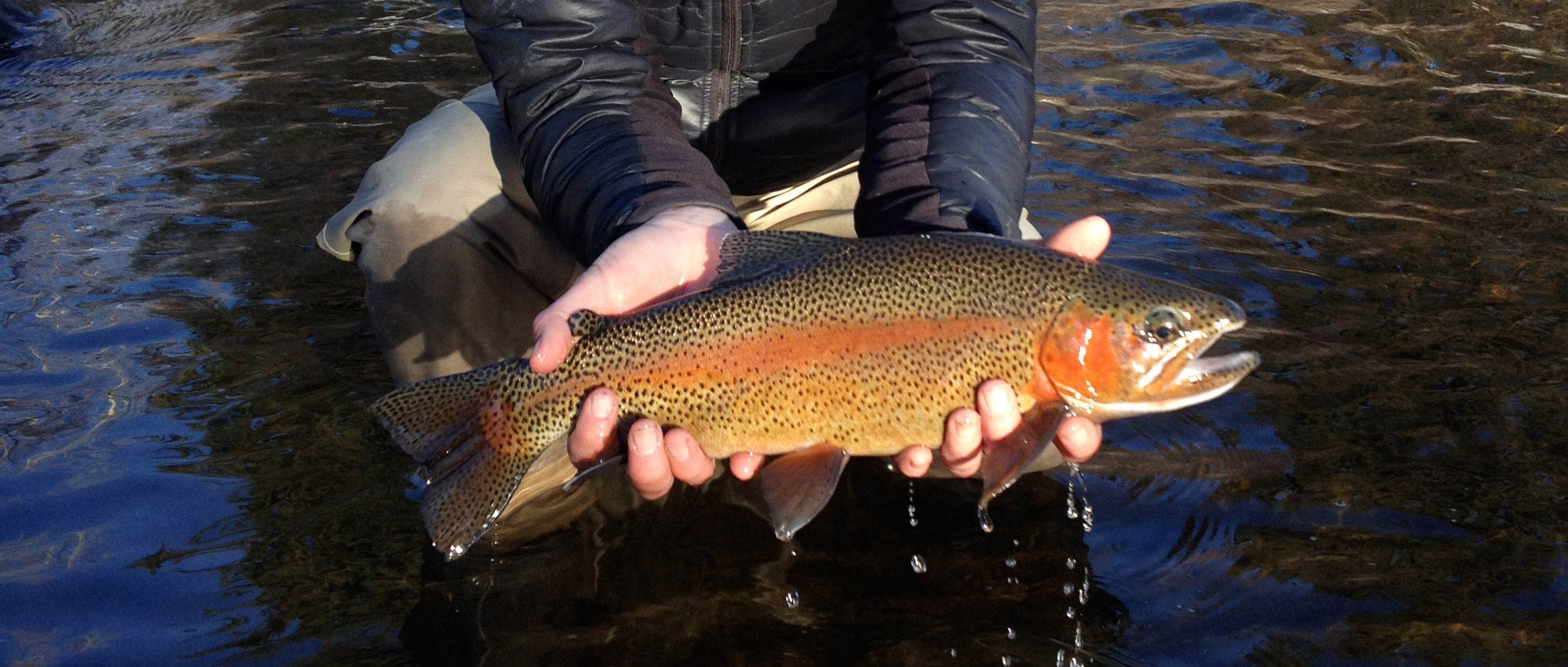 Vail Valley Fly Fishing Adventures | Sage Outdoor Adventures