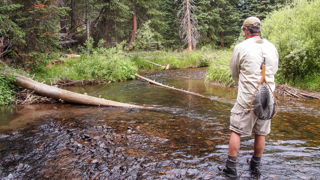 5 Tips For Fly Fishing Colorado's Wild Rivers