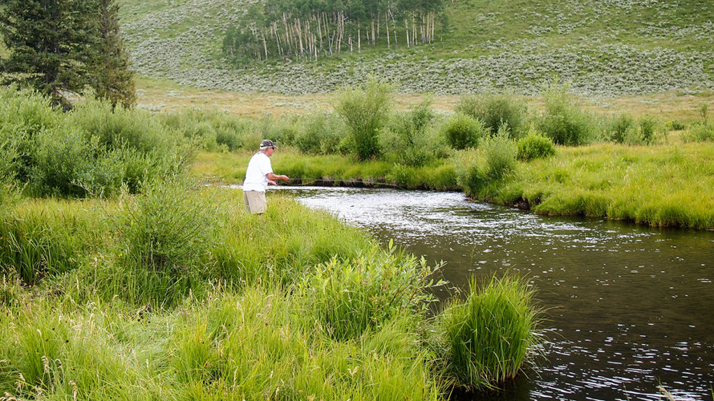 Vail, Colorado Fly Fishing