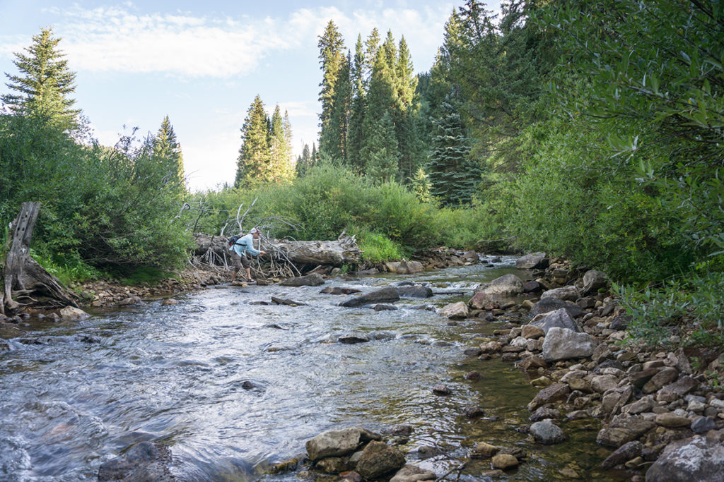 5 Tips For Fly Fishing Colorado’s Wild Rivers | Sage Outdoor Adventures