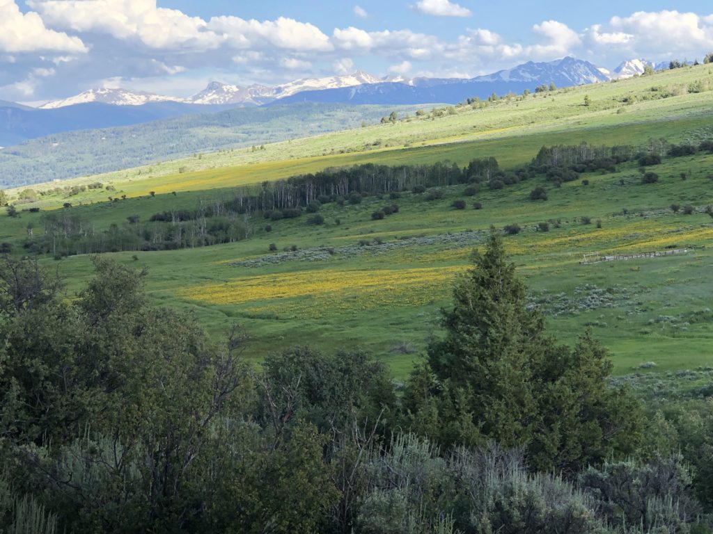 Colorado Mountain Scenery