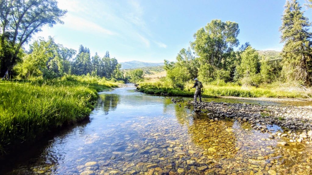 Montana's Famed Trout Under Threat as Drought Intensifies - The New York  Times